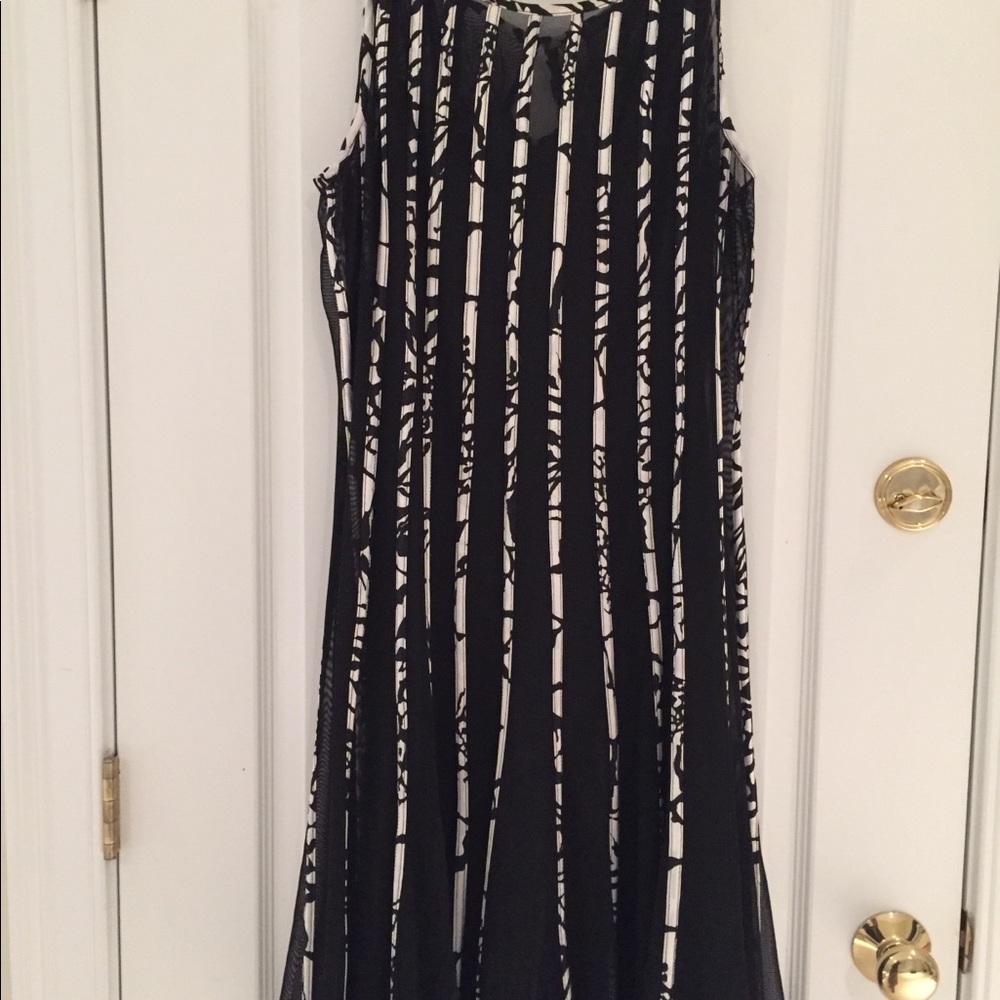 Sleeveless net dress